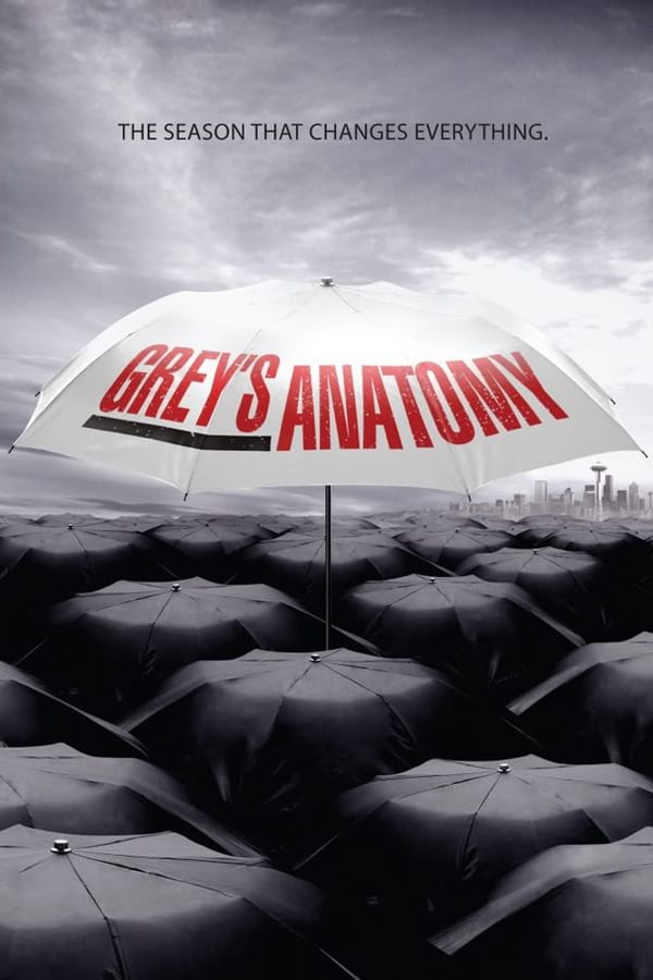 Grey's Anatomy S08E07