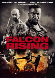 Falcon Rising (2014)