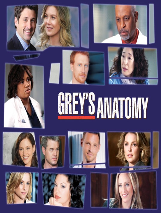 Grey's Anatomy S09E24