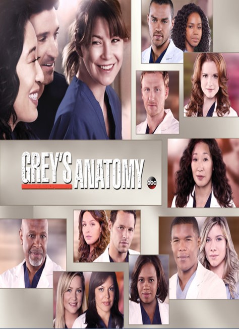 Grey's Anatomy S12E24