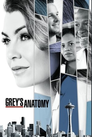 Grey's Anatomy S14E24