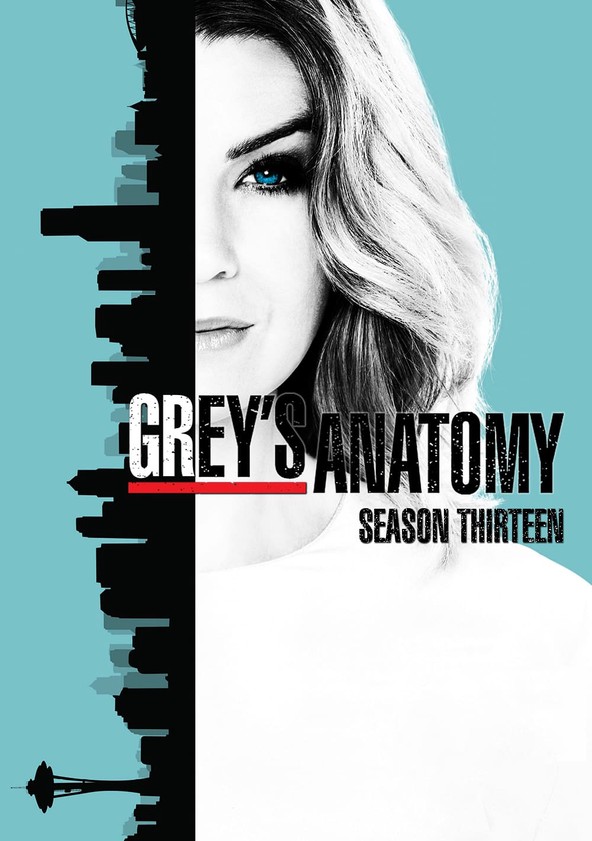 Grey's Anatomy S13E20