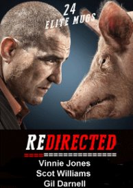 Redirected (2014)
