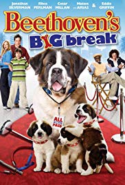 Beethoven's Big Break (2008)