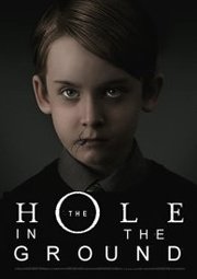 The Hole in the Ground (2019)