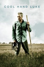 Cool Hand Luke (1967)