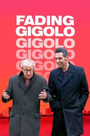 Fading Gigolo (2013)