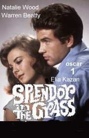 Splendor in the Grass (1961)