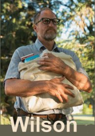 Wilson (2017)