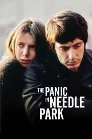 The Panic In Needle Park (1971)