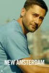 New Amsterdam S02E15
