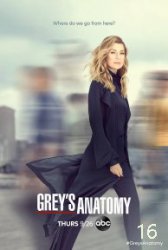 Greys Anatomy S16E19