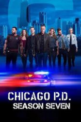 Chicago P.D. S07E19
