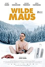 Wilde Maus Aka Wild Mouse (2017)
