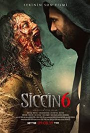 Siccin 6 (2019)
