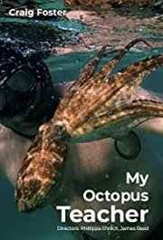 My Octopus Teacher (2020)