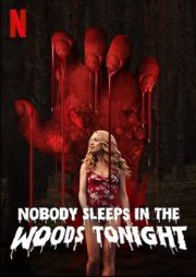 W lesie dzis nie zasnie nikt Aka Nobody Sleeps in the Woods Tonight (2020)