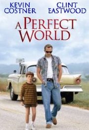 A Perfect World (1993)