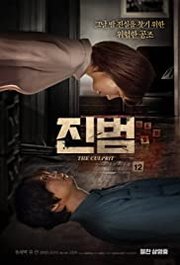 Jinbeom Aka The Culprit (2019)