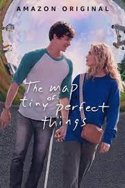 The Map of Tiny Perfect Things (2021)