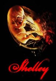Shelley (2016)