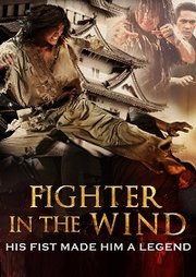 Baramui Fighter Aka Fighter in the Wind (2004)