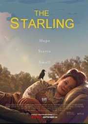 The Starling (2021)