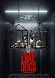 Like Dogs (2021)