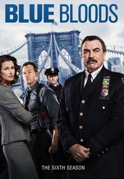 Blue Bloods S06E05
