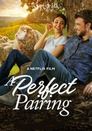 A Perfect Pairing (2022)