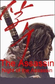 The Assassin Aka NIght of the Assassin (2023)
