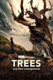 Trees, and Other Entanglements (2023)