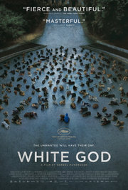 White God Aka Fehér isten (2014)