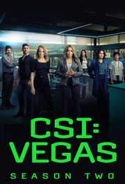 CSI: Vegas S02E17