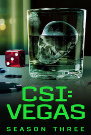 CSI: Vegas S03E04