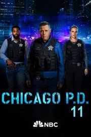 Chicago P.D. S11E11