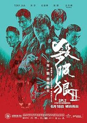 Saat po long 2 AKA SPL: Kill Zone 2 (2015)