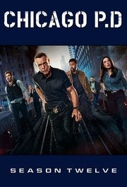 Chicago P.D.S12E22