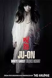 Ju-on: Shiroi rôjo Aka Ju-On: White Ghost (2009)