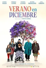 Verano en diciembre AKA Family Affairs (2024)