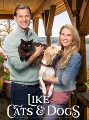 Like Cats & Dogs (2017)