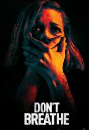 Don't Breathe (2016)