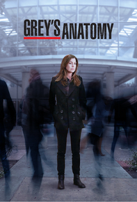 Grey's Anatomy S15E08