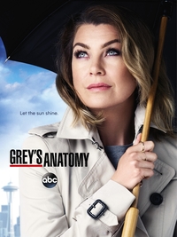 Grey's Anatomy S05E19