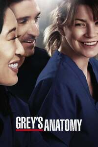 Grey's Anatomy S06E16