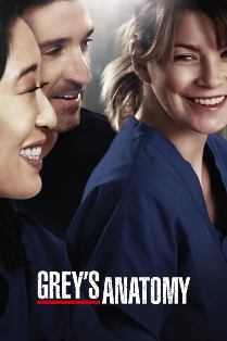 Grey's Anatomy S06E22