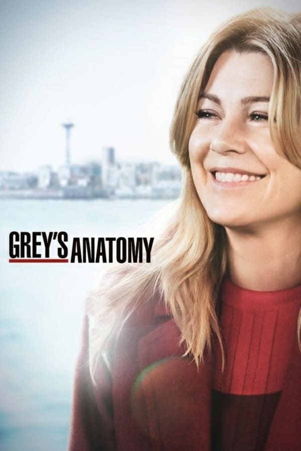 Grey's Anatomy S07E19